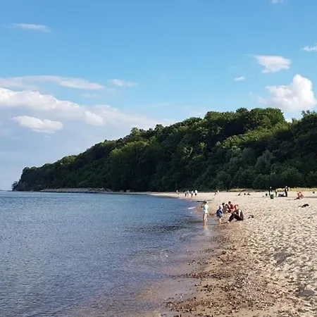 With Terrace And Barbecue Area *