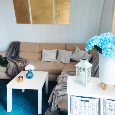 With Terrace And Barbecue Area *