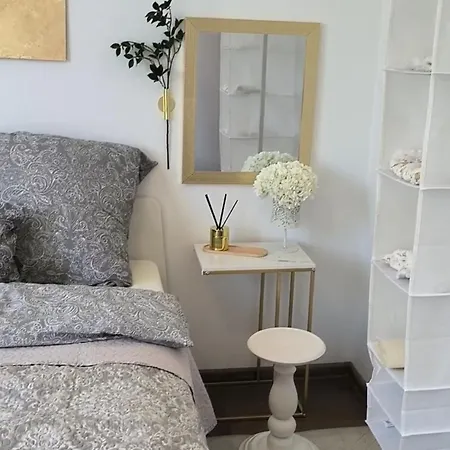 With Terrace And Barbecue Area