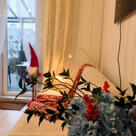 With Terrace And Barbecue Area *