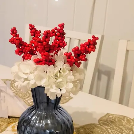 With Terrace And Barbecue Area