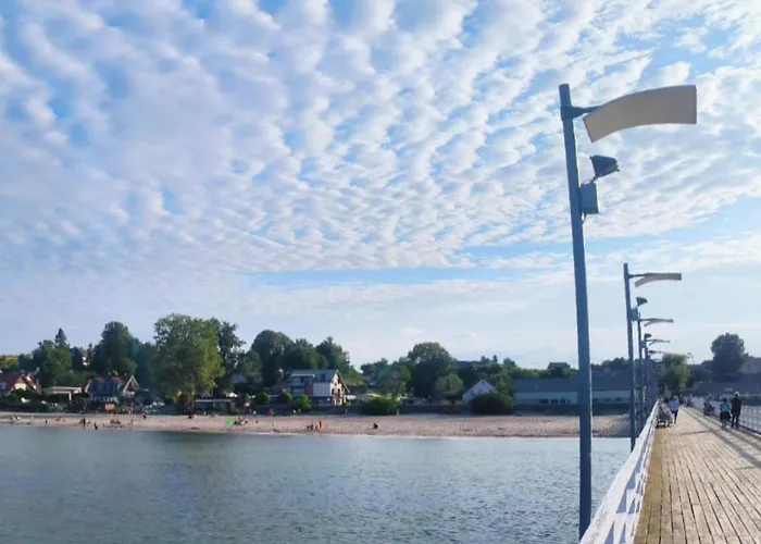 With Terrace And Barbecue Area *