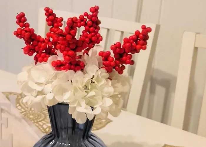 With Terrace And Barbecue Area