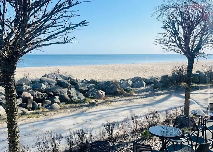 With Terrace And Barbecue Area *